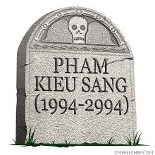 Phamkieusang1994-2994